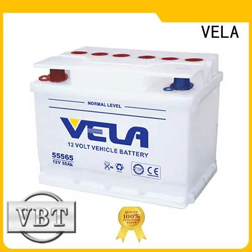 professional dry cell car battery vehicle 1