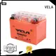 VELA gel type battery popular for autocycle 1