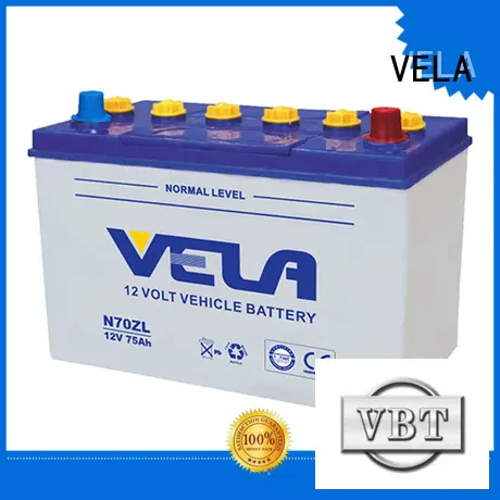 VELA long storage time car dry cell battery vehicle industry 1