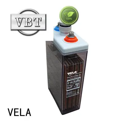 maintenance free battery satisfying for alarm system 1