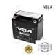 VELA high performance wet cell battery great for autocycle 1