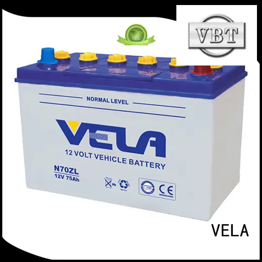 professional automotive battery manufacturers great for automobile 1