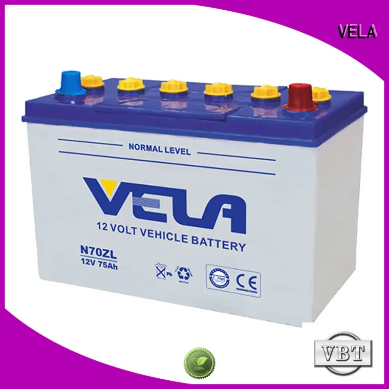 VELA car battery suppliers optimal for car1 1