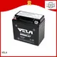 VELA sealed motorcycle battery excellent for motorbikes 1