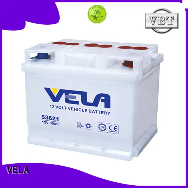 professional automotive battery manufacturers vehicle industry 1
