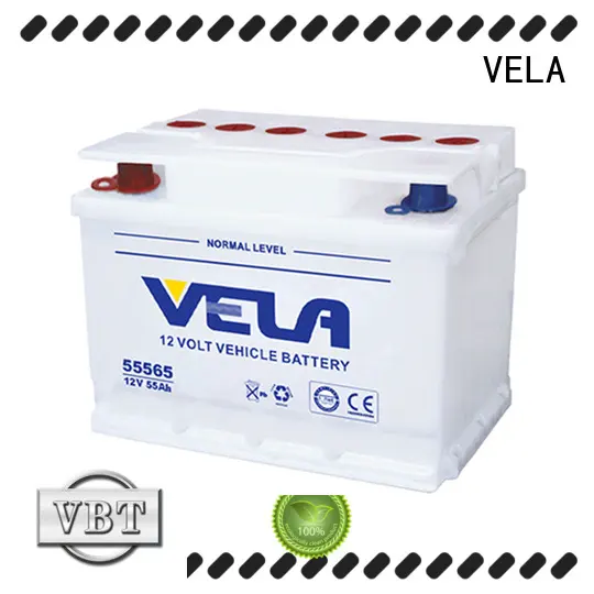 VELA best auto battery ideal for car 1