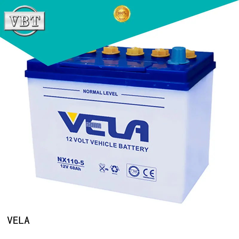 professional car battery brands optimal for vehicle 1