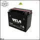 VELA dry cell battery motorcyles1 1