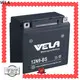 VELA high performance wet charged battery autocycle 1