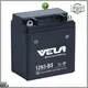 VELA motorcycle batteries best choice for motorbike 1