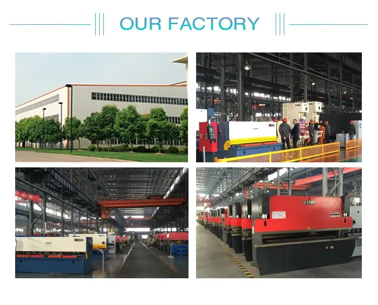 WORLD Top guillotine shearing machine manufacturer manufacturers from top factory 6