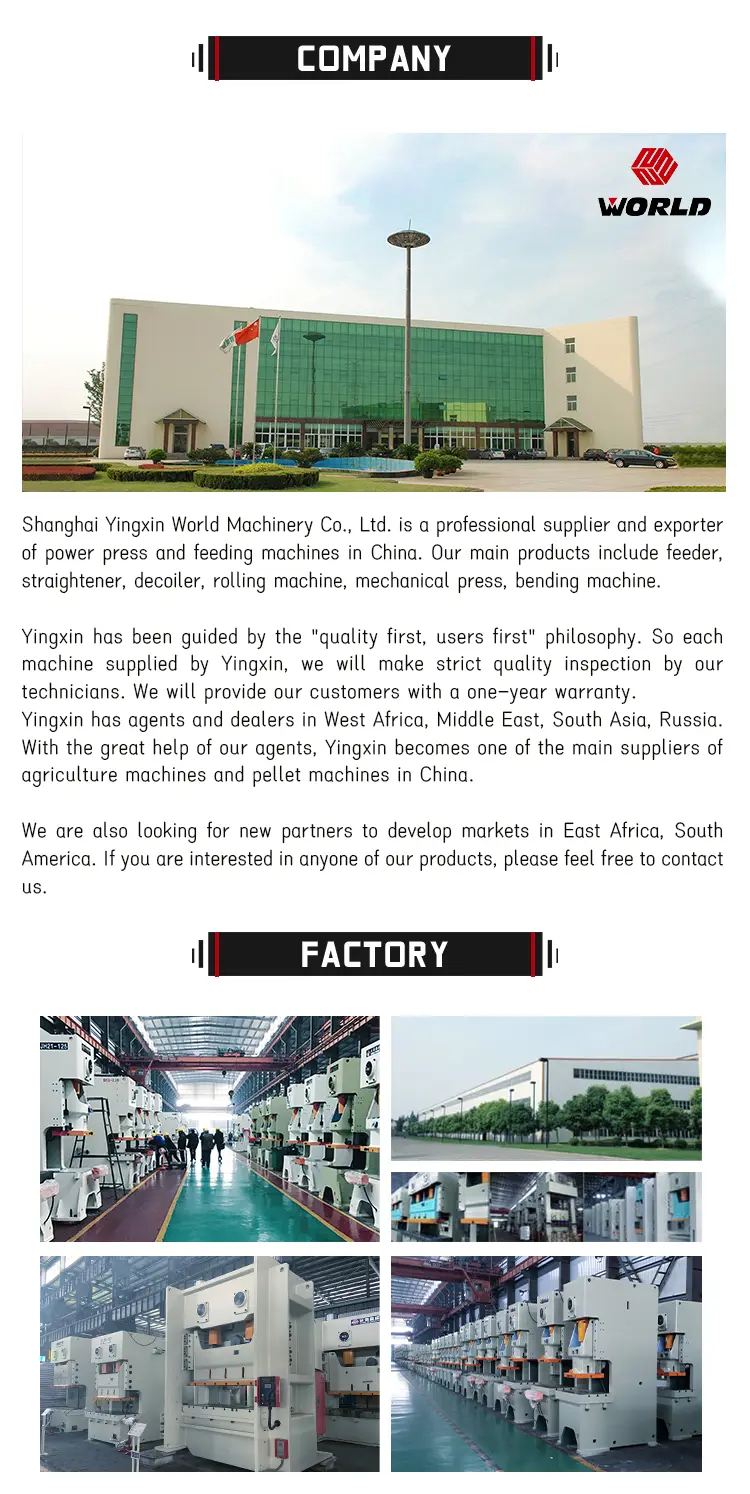 WORLD Top servo feeder machine Suppliers for punching 8