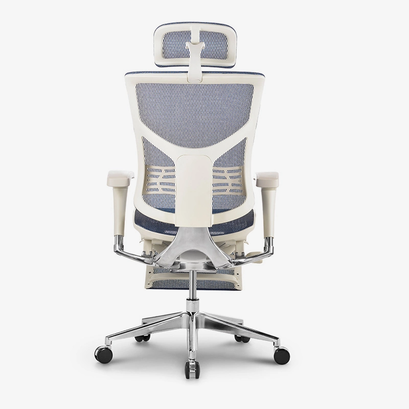 Quality top ergonomic chairs company for office 5