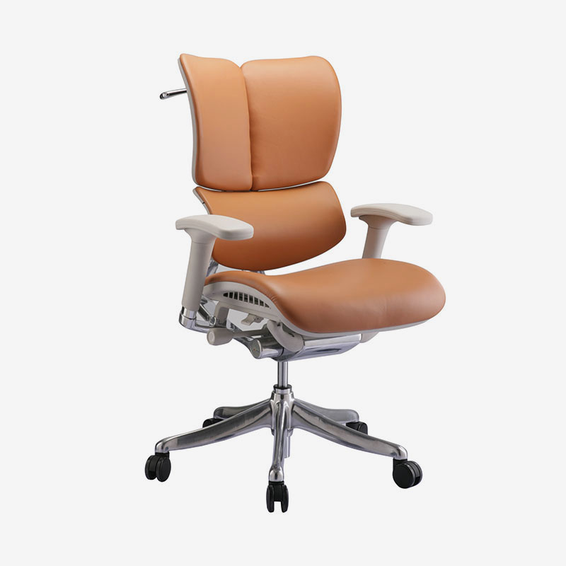 Professional ergonomic mesh office chair for office building 7