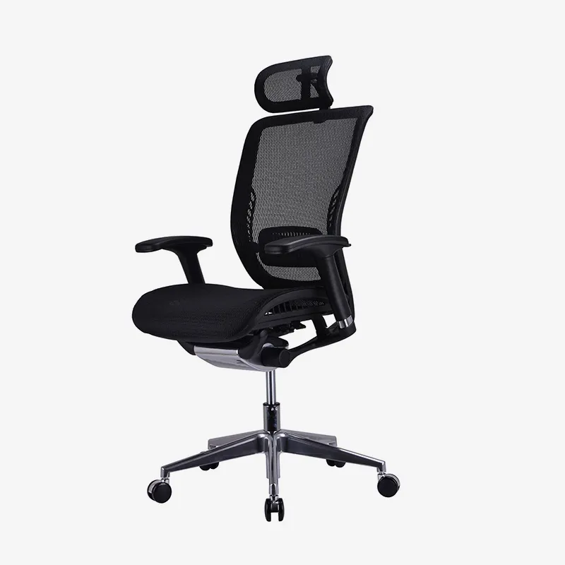 Best ergonomic office chair lower back support price for workshop 6