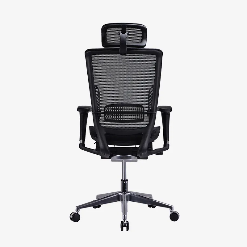 Best ergonomic office chair lower back support price for workshop 7