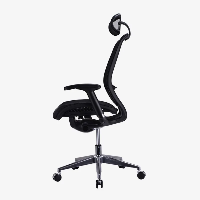 Best ergonomic office chair lower back support price for workshop 5