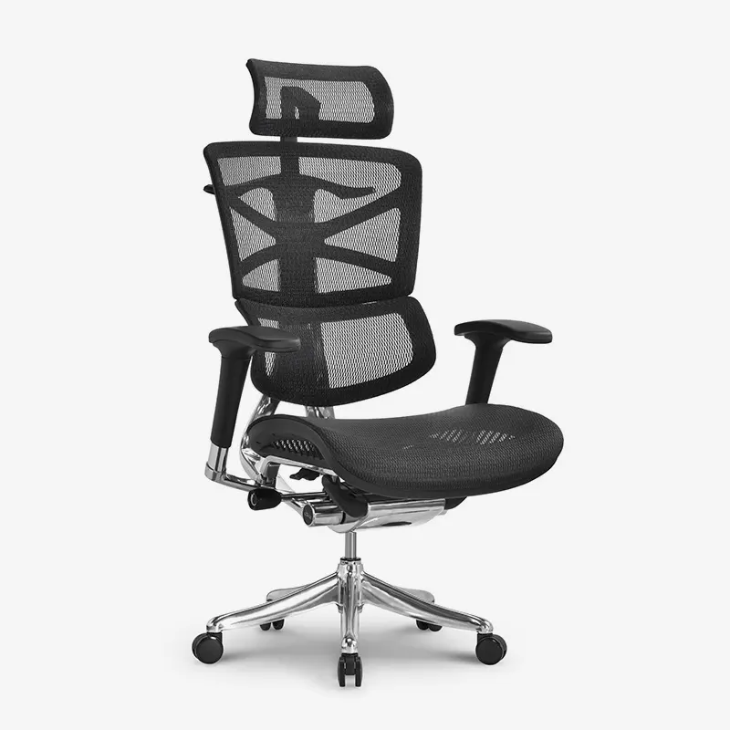 High-quality ergonomic backrest support manufacturers for workshop 2