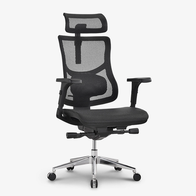 best ergonomic home office chair price for work at home 2