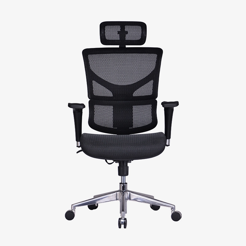 High End Ergonomic Office Task Chair