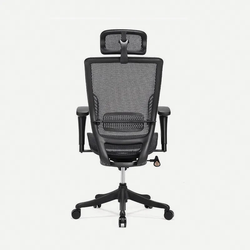 Latest best posture chair support suppliers for workshop 4
