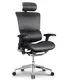 Ergonomic Mesh Executive Chair HSAL01 - - Hookay Chair 10