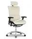 Ergonomic Mesh Executive Chair HSAL01 - - Hookay Chair 9