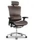 Ergonomic Mesh Executive Chair HSAL01 - - Hookay Chair 11