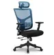 Mesh Back Office Chair FOB Nansha Port Guangzhou - - Hookay Chair 7