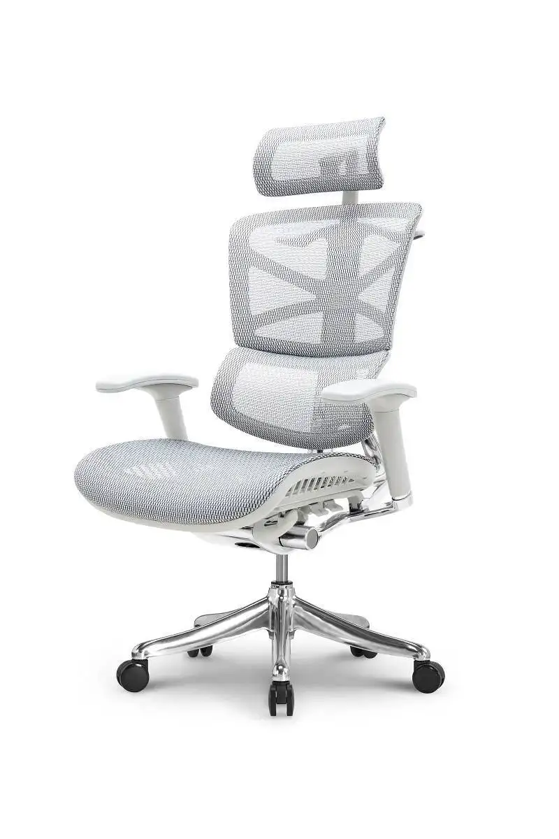 Ergonomic Mesh Office Chair 45 Days for Mass Order by Hookay Chair 2