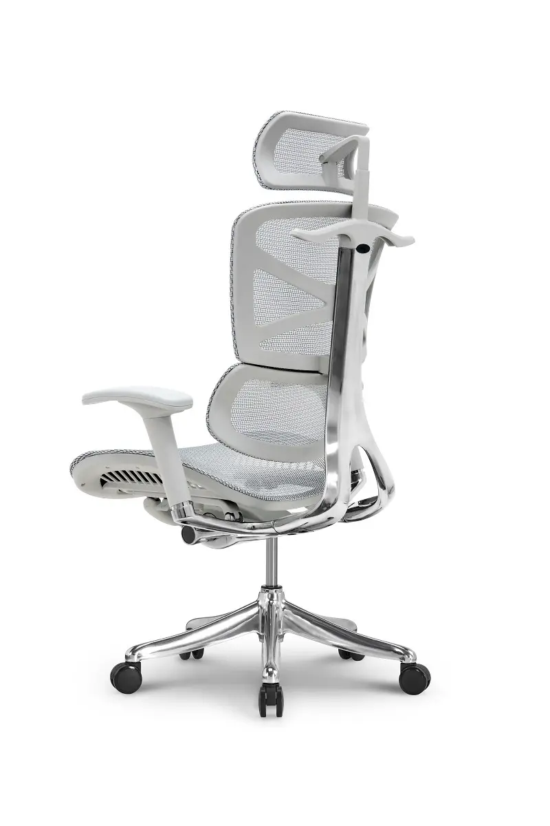 Ergonomic Mesh Office Chair 45 Days for Mass Order by Hookay Chair 5