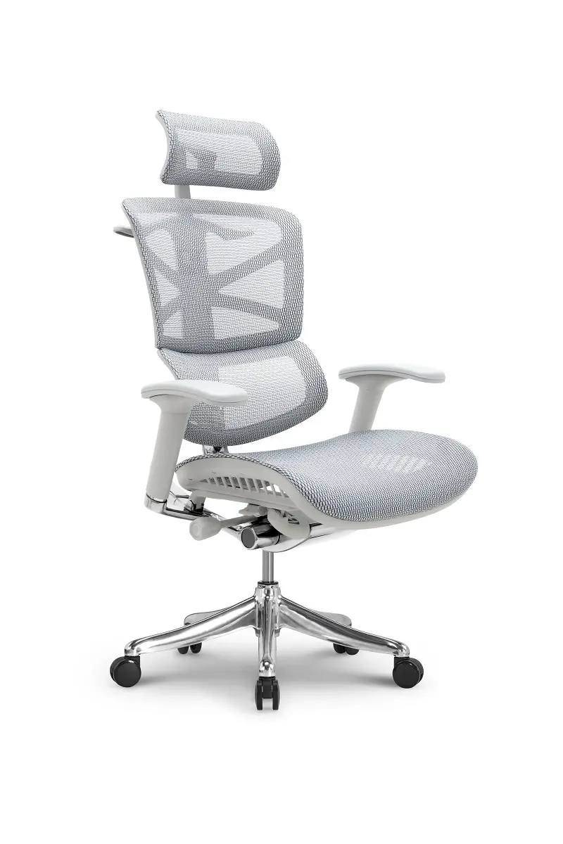 Ergonomic Mesh Office Chair 45 Days for Mass Order by Hookay Chair 4