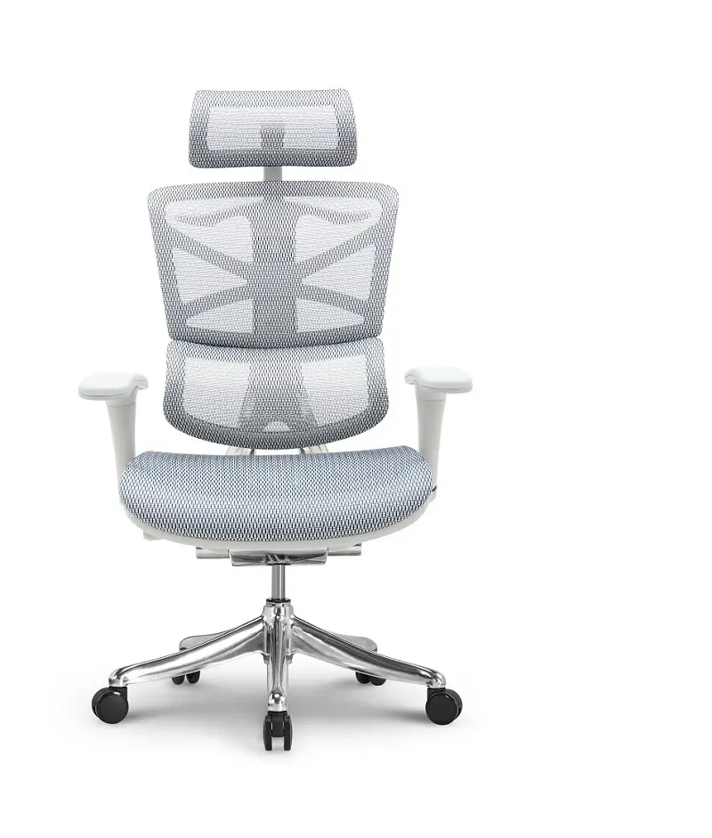 Ergonomic Mesh Office Chair 45 Days for Mass Order by Hookay Chair 7