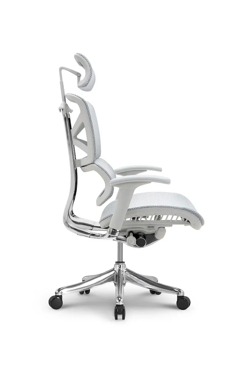 Ergonomic Mesh Office Chair 45 Days for Mass Order by Hookay Chair 6