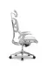 Ergonomic Mesh Office Chair 45 Days for Mass Order by Hookay Chair 6