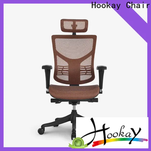 Hookay Chair Professional ergonomic desk chair cost for home office 1