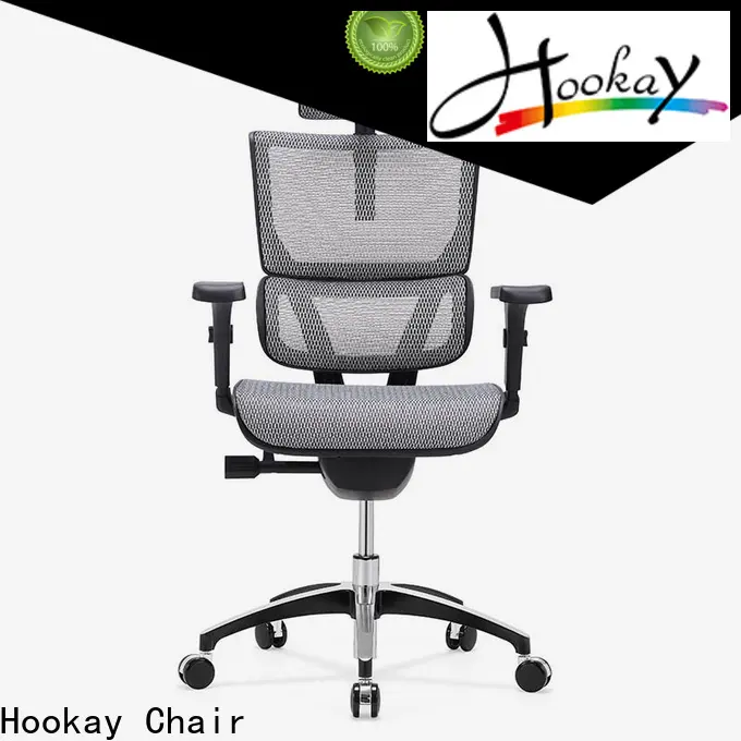 Hookay Chair Professional ergonomic desk chair with lumbar support supply for office building 1