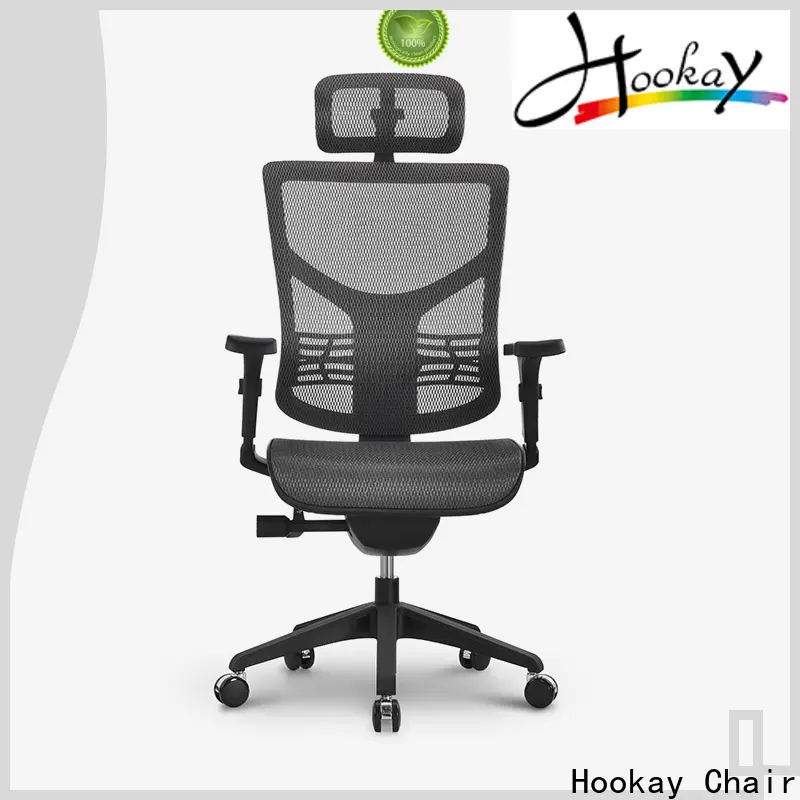 Best ergonomic desk chair with lumbar support cost for workshop 1