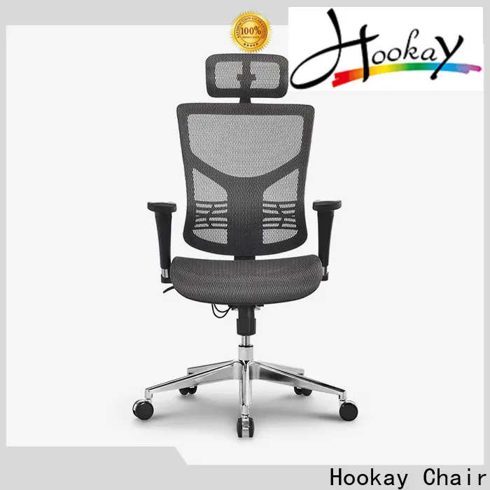 Hookay Chair task chair with adjustable lumbar support for office 1