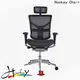 Hookay Chair Hookay ergohuman mesh high back ergonomic chair with headrest manufacturers for office building46 1