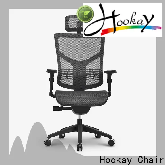 Best back support chairs for home office price for home office 1