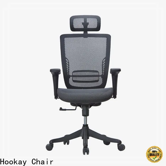 Hookay armless desk chair lumbar support company for office 1