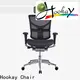 Professional ergonomic lumbar back support for sale for workshop 1