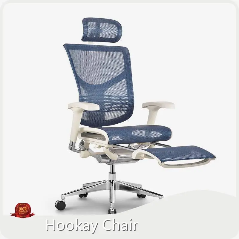 Ergonomic Executive Desk Chair BIFMA EN1335 by Hookay Chair 1