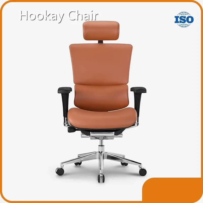 Ergonomic Mesh Executive Chair HSAL01 - - Hookay Chair 1