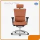 Ergonomic Mesh Executive Chair HSAL01 - - Hookay Chair 1