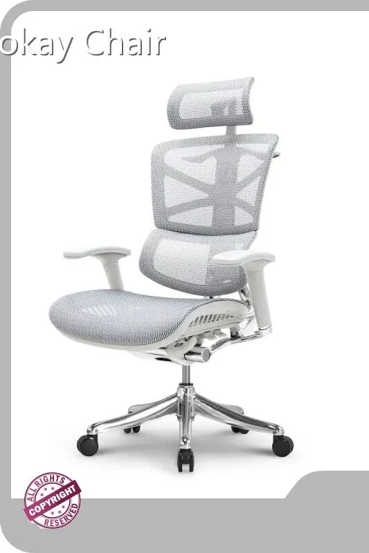 Ergonomic Mesh Office Chair 45 Days for Mass Order by Hookay Chair 1