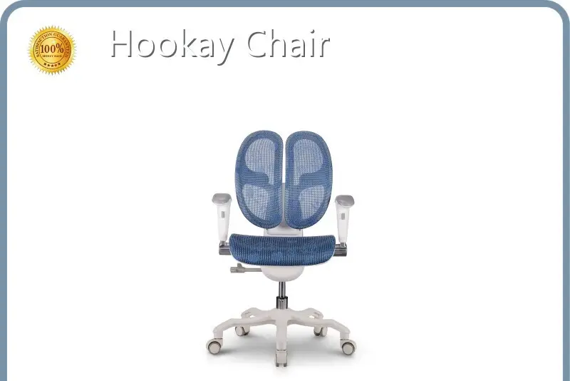 Best Ergonomic Office Chair BIFMA EN1335 by Hookay Chair 1