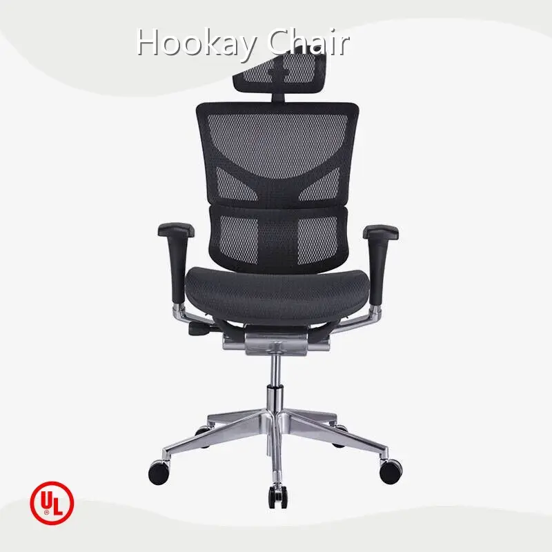 Best Executive Chair for Back Pain HSAM01 by Hookay Chair 1