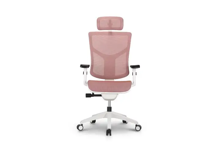 最高の人間工学に基づいたオフィスタスクチェア工場/メーカー |フック